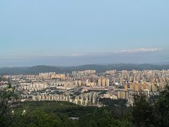 -长虫山生态公园风景林