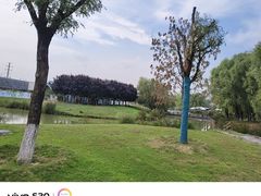 -西安浐灞国家湿地公园
