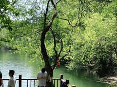 -青龙山国家森林公园
