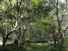 -西湖外事游船(花港观鱼码头)