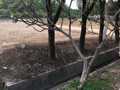 -广东花都香草世界旅游度假区