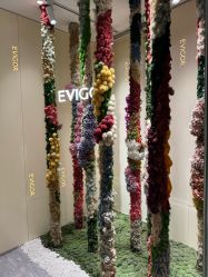 点击看大图 -Evigor医维格医美