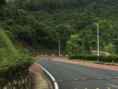 -火炉山森林公园