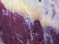 牛肉干的选肉-蒙亘高勒牛肉干(瑞雪小区店)