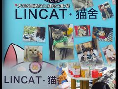 -lincat·猫舍(广州店)