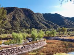 -百花人家(清水镇店)