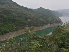 -武陵山森林公园