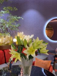 -花隐·美芙炫海菲秀皮肤管理中心