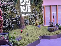 -陕西自然博物馆