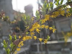 -西安关中民俗艺术博物院