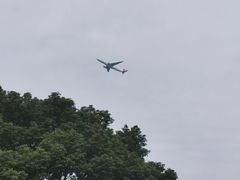 -七宝老街-闵行市民文化广场