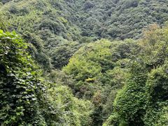 -西安金龙峡风景区