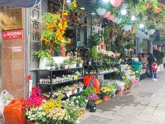 -溪岸路花鸟市场