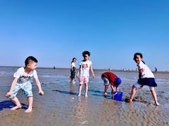 -南汇嘴观海公园