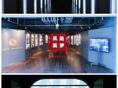 -凤凰中心