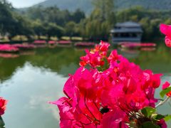 -广州市白云山风景名胜区