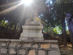 -蟒山国家森林公园天池停车场