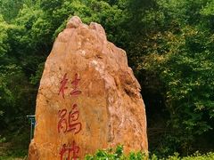 -东莞植物园