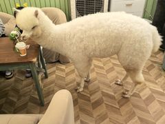 -新佳丽时尚广场