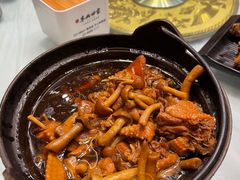-京北渔家傲
