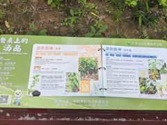 -广州白江湖森林公园