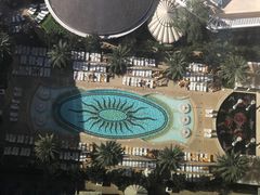 -拉斯维加斯永利酒店