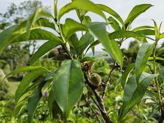 -雅达·阳羡溪山小镇中心