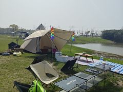 -春花秋色城市公园