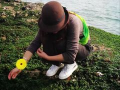 -碧桂园十里银滩