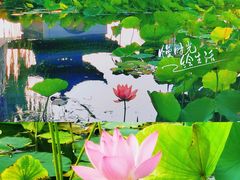 -陶然亭公园