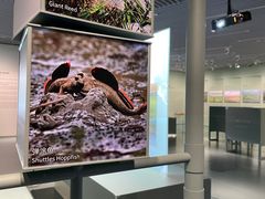 -上海城市规划展示馆