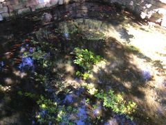 -水磨沟公园