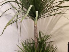 -宴长沙(五一广场店)