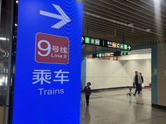 -临平南高铁站(地铁站)