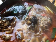 -新白鹿餐厅(城西银泰城店)