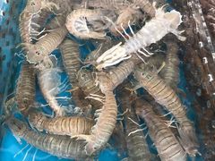 -亚龙湾8号(丁村万人海鲜广场店)