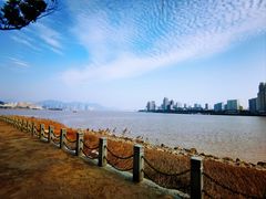 -江心屿景区