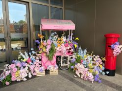 点击看大图 -花嫁丽舍海岛婚礼殿堂(国展店)