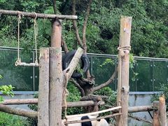-黔灵山公园