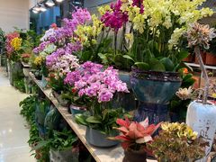 -双季花艺园艺市场(浦东店)