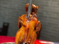 栋笃鸡-绿雅居原生态农庄(小涌店)