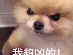 -清和浴