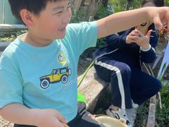 -同銮特种养殖场·龙虾垂钓