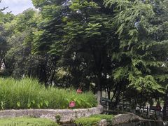 -成都市活水公园
