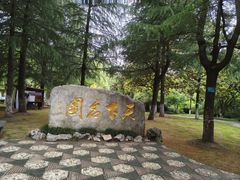 -水绘园