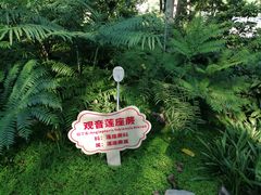 -成都市活水公园