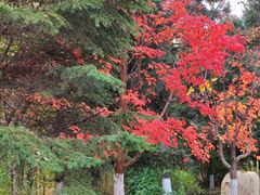 -长春世界雕塑园冰雪艺术天地