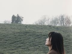 -南京市江宁方山