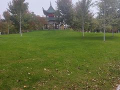 -东北农业大学
