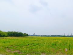 -良渚古城遗址公园